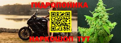 метадон Аргун