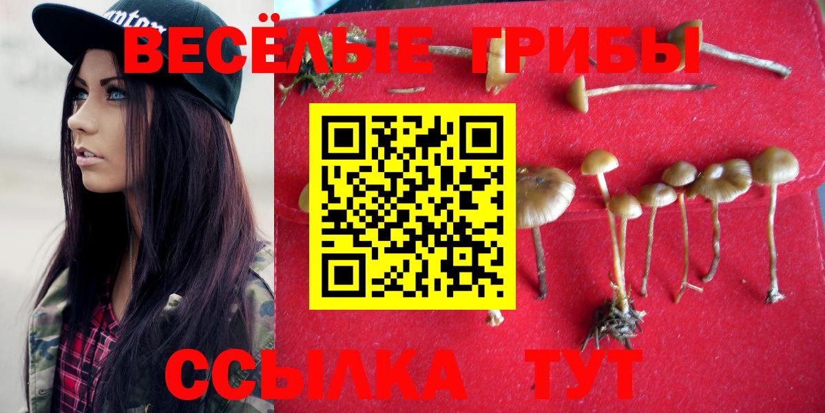 Псилоцибиновые грибы Magic Shrooms  Вход с VPN  магазин продажи наркотиков  Переславль-Залесский 