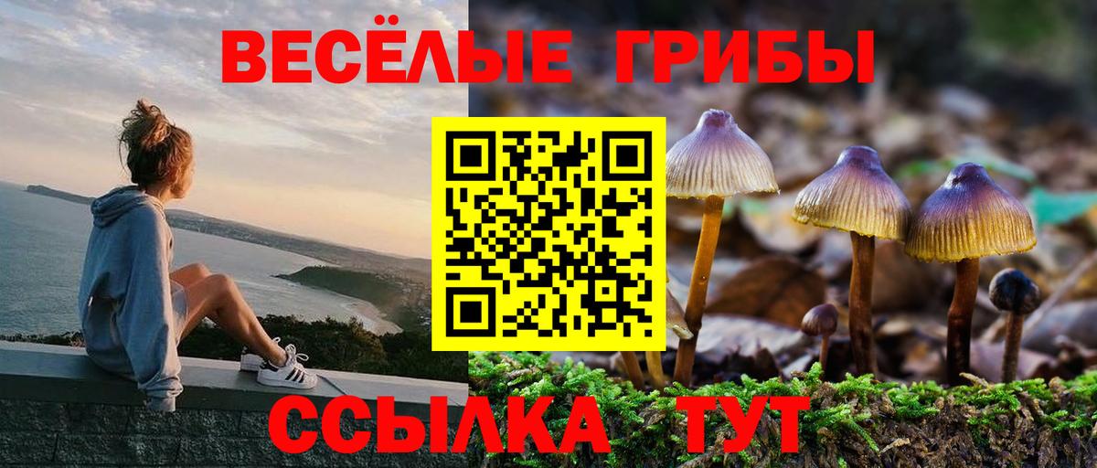 Псилоцибиновые грибы Cubensis Переславль-Залесский